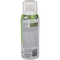 Scotchgard Outdoor Protector, 297 g, Aerosol Can, Clear Groupe Belzile Dickner
