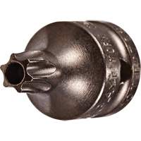 Embout &agrave; ins&eacute;rer, Torx inviolable, 8 x 3/4" lo, Prise 1/4" Groupe Belzile Dickner
