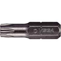 Embout, Torx, 7, Prise 1/4" Groupe Belzile Dickner