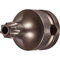 Embout &agrave; ins&eacute;rer, Torx inviolable, 25 x 1" lo, Prise 3/8" Groupe Belzile Dickner