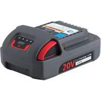 IQV20 Series Battery, Lithium-Ion, 20 V, 2.5 Ah Groupe Belzile Dickner