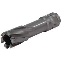 Couteau annulaire &agrave; tige universelle, Diam&egrave;tre de 1/2", Carbure, Profondeur de la coupe de 1", Tige 3/4" Groupe Belzile Dickner