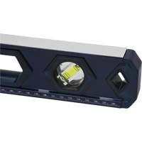 High-Accuracy Level, Box, 2' L, Aluminum, 3, Non-Magnetic Groupe Belzile Dickner