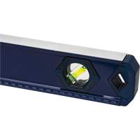 Niveau haute pr&eacute;cision, Boîte, 4' lo, Aluminium, 3, Non magn&eacute;tique Groupe Belzile Dickner