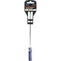 Blue Transparent Striped Slotted Screwdriver, 1/8" Tip, Round, Plastic Handle Groupe Belzile Dickner