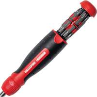 13-in-1 Automotive Ratcheting Multi-Bit Screwdriver, Cushion Grip Handle Groupe Belzile Dickner