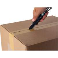 18mm Professional Knife with Ratchet, Stainless Steel, Heavy-Duty, Plastic Handle Groupe Belzile Dickner