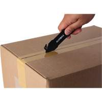 Disposable Safety Knife , Stainless Steel, Plastic Handle Groupe Belzile Dickner