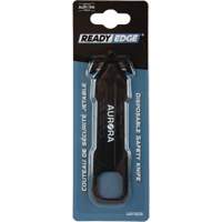 Disposable Safety Knife , Stainless Steel, Plastic Handle Groupe Belzile Dickner