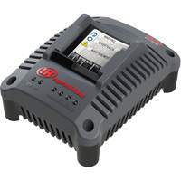 IQV20 Compact Battery Charger, 20 V, Lithium-Ion Groupe Belzile Dickner