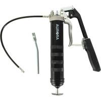 Dual Grease Gun Pistol with Lever Handle Groupe Belzile Dickner