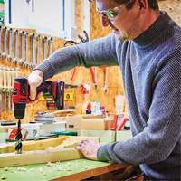 Cordless Drill/Driver Kit, Lithium-Ion, 18 V, 3/8" Chuck, 354 in-lbs Torque Groupe Belzile Dickner