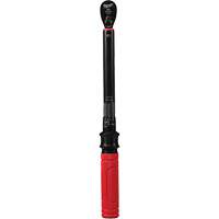 Torque Wrench, Click, 3/8" Square Drive, 20 - 100 in-lbs/27.1 - 135.6 N.m Groupe Belzile Dickner