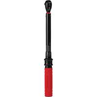 Torque Wrench, Click, 3/8" Square Drive, 20 - 100 in-lbs/27.1 - 135.6 N.m Groupe Belzile Dickner