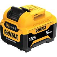 Bloc-pile MAX*, Lithium-ion, 12 V, 5 Ah Groupe Belzile Dickner
