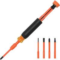 4-in-1 Insulated Multi-Bit Screwdriver Groupe Belzile Dickner