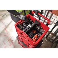 PACKOUT Low-Profile Crate, 15" x 18-5/8" x 6-5/8", Black/Red Groupe Belzile Dickner