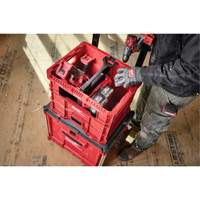 PACKOUT XL Crate, 15-3/4" x 18-5/8" x 15", Black/Red Groupe Belzile Dickner