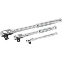 20-Tooth Sealed Head Ratchet Set Groupe Belzile Dickner
