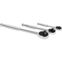 20-Tooth Sealed Head Ratchet Set Groupe Belzile Dickner