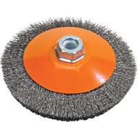 Saucer Cup Brush With Knot-Twisted Wires, 5" Dia., 0.02" Fill, 5/8"-11 Arbor, Steel Groupe Belzile Dickner