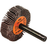 Disques &agrave; lamelles - Meules &agrave; lamelles Coolcut, Oxyde d'aluminium, Grain 80, 1-1/2" x 3/8" x 1/4" Groupe Belzile Dickner