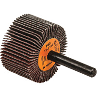 Disques &agrave; lamelles - Meules &agrave; lamelles Coolcut, Oxyde d'aluminium, Grain 60, 1-1/2" x 1" x 1/4" Groupe Belzile Dickner