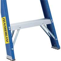 Industrial Duty Stepladders (6300 Series), 4', Fibreglass, 250 lbs. Capacity, Type 1 Groupe Belzile Dickner
