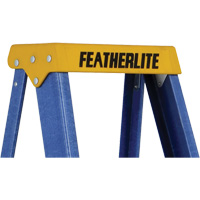 Industrial Duty Stepladders (6300 Series), 4', Fibreglass, 250 lbs. Capacity, Type 1 Groupe Belzile Dickner