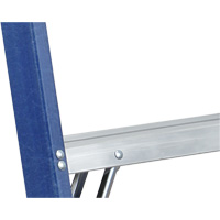 Industrial Duty Stepladders (6300 Series), 4', Fibreglass, 250 lbs. Capacity, Type 1 Groupe Belzile Dickner