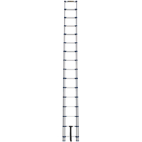 Telescopic Ladder, 3' - 15.5', Aluminum, 250 lbs. Capacity, Type 1 Groupe Belzile Dickner
