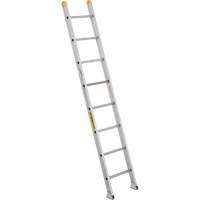 Industrial Heavy-Duty Extension/Straight Ladders, 10', Aluminum, 300 lbs., CSA Grade 1A VC274 | Dickner Inc