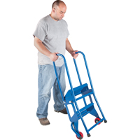 Portable Folding Ladder, 4 Steps, Perforated, 40" High VC438 | Dickner Inc