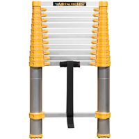 Telescopic Ladder, 3' - 12', Aluminum, 250 lbs. Capacity, Type 1 Groupe Belzile Dickner