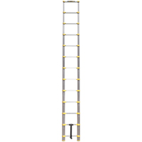 Telescopic Ladder, 3' - 12', Aluminum, 250 lbs. Capacity, Type 1 VC441 | Dickner Inc