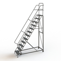 Heavy Duty Rolling Ladder, 12 Steps, 24" Step Width, 120" Platform Height, Steel Groupe Belzile Dickner