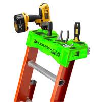 Pro Top Extension Ladder, 300 lbs. Cap., 29' H, Grade 1A Groupe Belzile Dickner