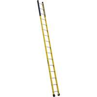 Single Manhole Ladder, 16', Fibreglass, 375 lbs., CSA Grade 1AA Groupe Belzile Dickner