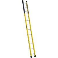 Single Manhole Ladder, 12', Fibreglass, 375 lbs., CSA Grade 1AA VD466 | Dickner Inc