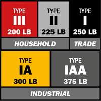 Step Ladder with Paint Tray, 10', Aluminum, 225 lbs. Capacity, Type 2 Groupe Belzile Dickner