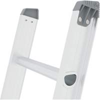 Jobsite Series Extension Ladder, 225 lbs. Cap., 32' H, Grade 2 Groupe Belzile Dickner