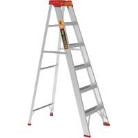 Step Ladder, 6', Aluminum, 200 lbs. Capacity, Type 3 Groupe Belzile Dickner