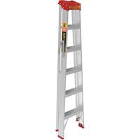 Step Ladder, 6', Aluminum, 200 lbs. Capacity, Type 3 Groupe Belzile Dickner