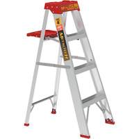 Step Ladder with Paint Tray, 4', Aluminum, 200 lbs. Capacity, Type 3 Groupe Belzile Dickner