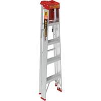 Step Ladder with Paint Tray, 5', Aluminum, 200 lbs. Capacity, Type 3 Groupe Belzile Dickner