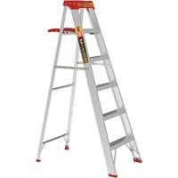 Step Ladder with Paint Tray, 6', Aluminum, 200 lbs. Capacity, Type 3 Groupe Belzile Dickner