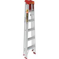Step Ladder with Paint Tray, 6', Aluminum, 200 lbs. Capacity, Type 3 Groupe Belzile Dickner