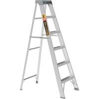 Step Ladder, 6', Aluminum, 225 lbs. Capacity, Type 2 Groupe Belzile Dickner