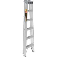 Step Ladder, 6', Aluminum, 225 lbs. Capacity, Type 2 Groupe Belzile Dickner