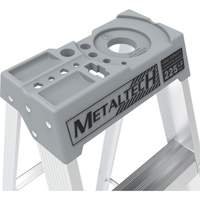 Step Ladder with Paint Tray, 10', Aluminum, 225 lbs. Capacity, Type 2 Groupe Belzile Dickner